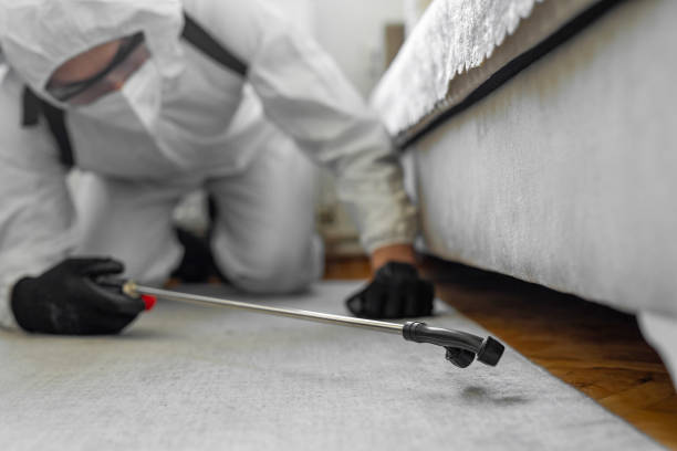 Professional Bed Bug Control technician working in Burtonsville, MD