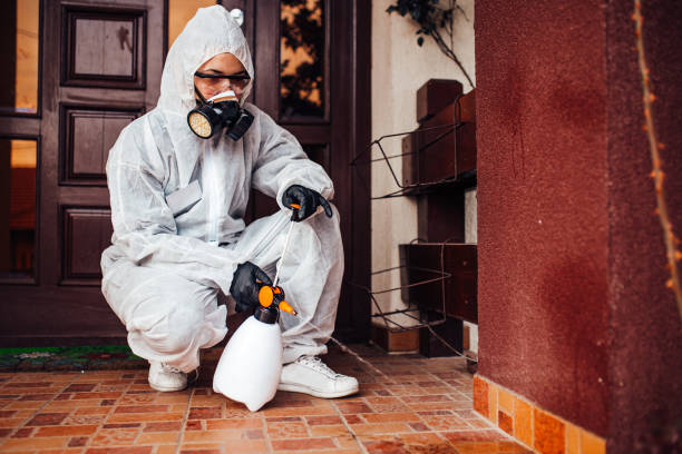 Reliable Bed Bug Control contractor in Burtonsville, MD by Nex Pest Control